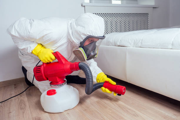 Professional Pest Control in Robesonia, PA